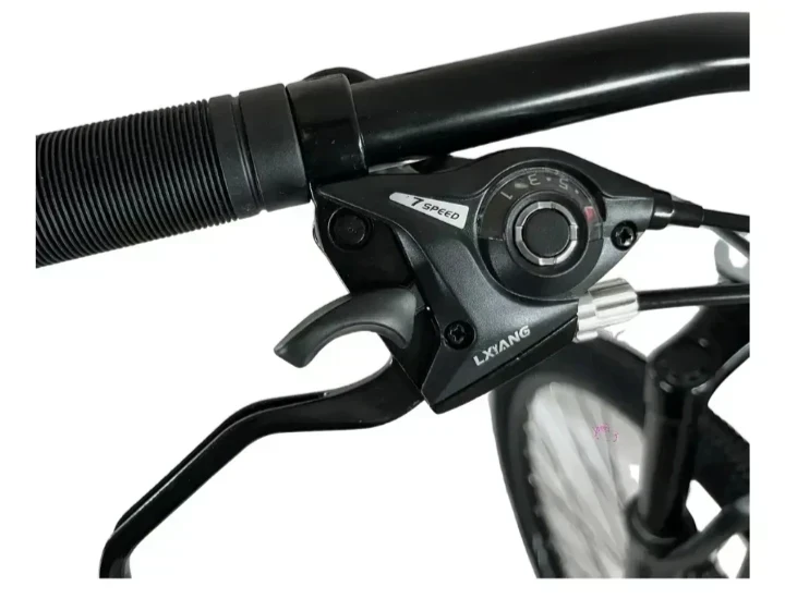 BICICLETA FIREBIRD RODADO 29 ACERO 2