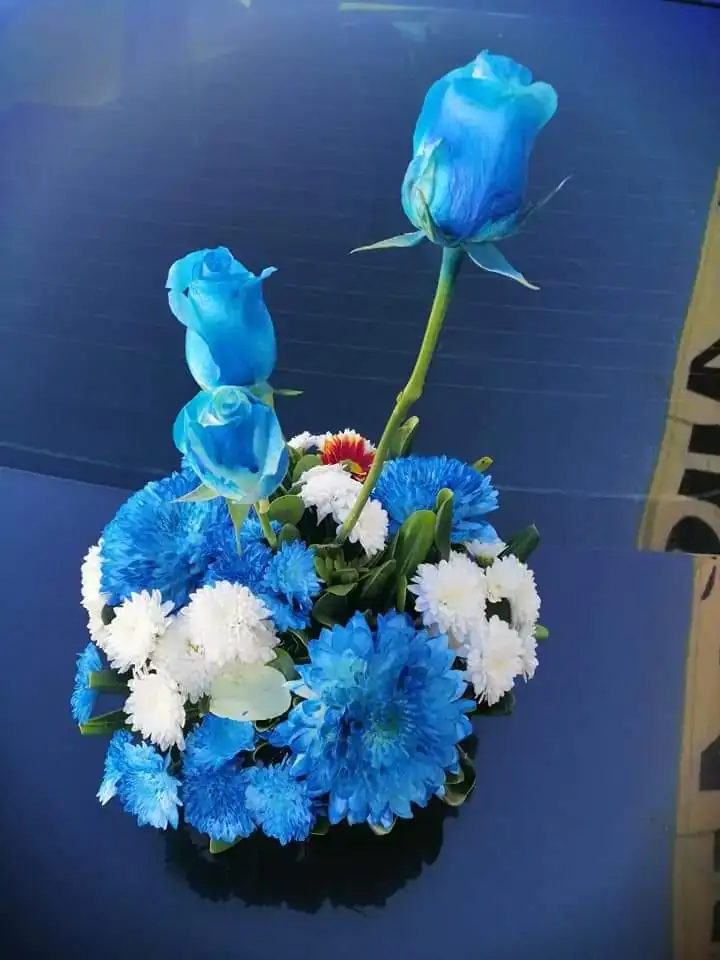 Trio de rosas  3