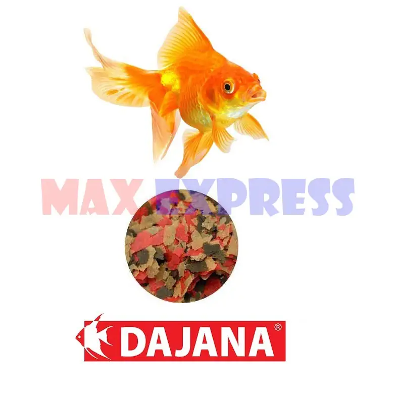 DAJANA GOLD COD. 1087 2
