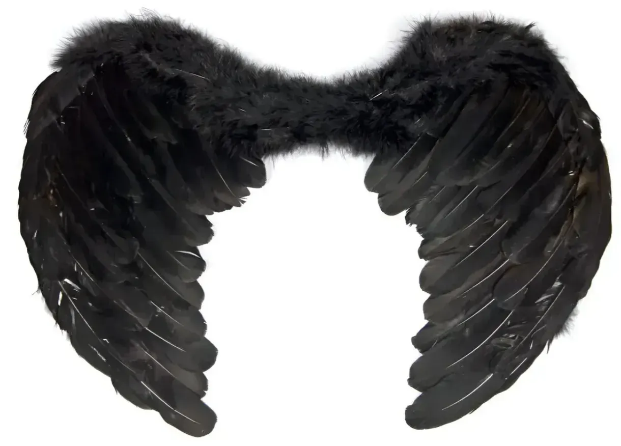 Alas de angel con plumas negra 60x44 cm