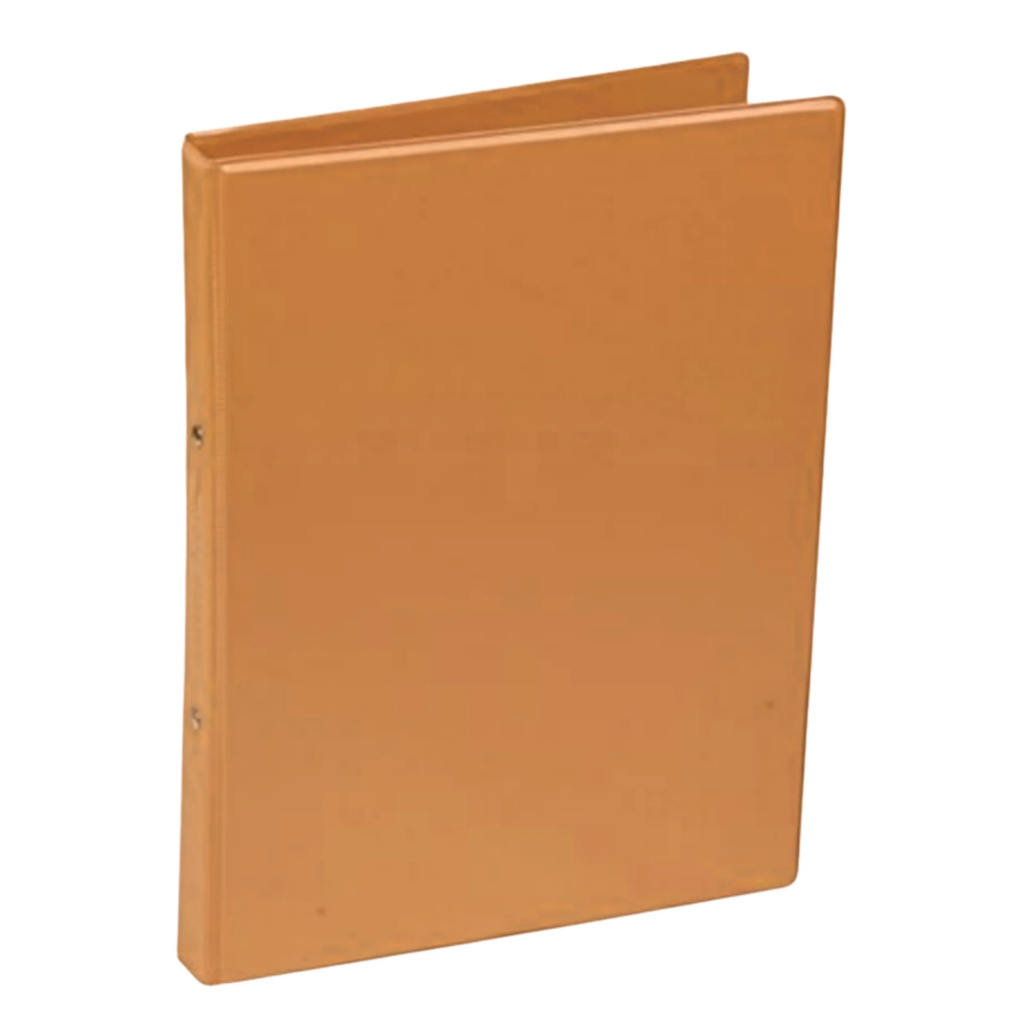 Carpeta doble anillo Naranja