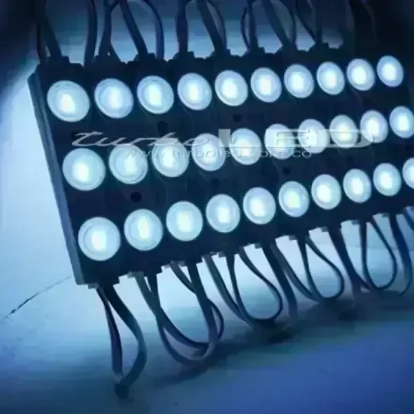 MODULO ECO LUPA 24V (103103)