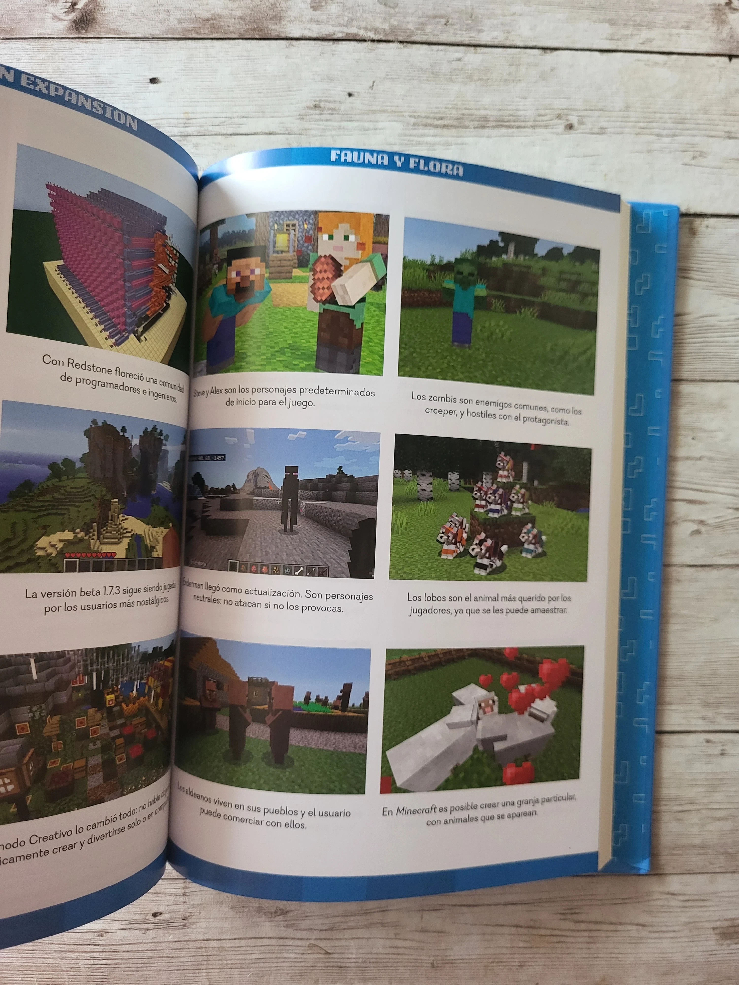 Minecraft /Javier de Pascual / Juegos 4
