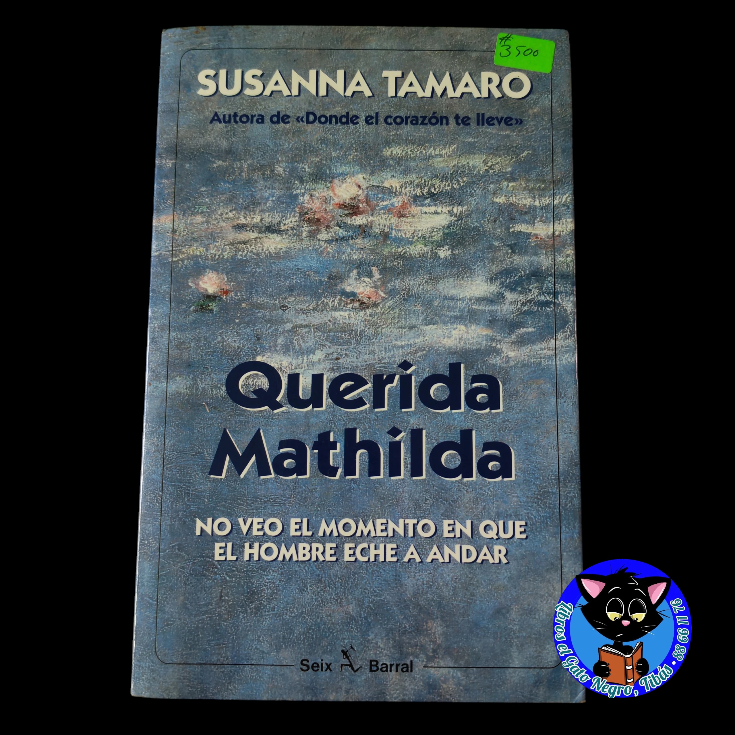 Querida Mathilda , Susanna Tamaro, usado