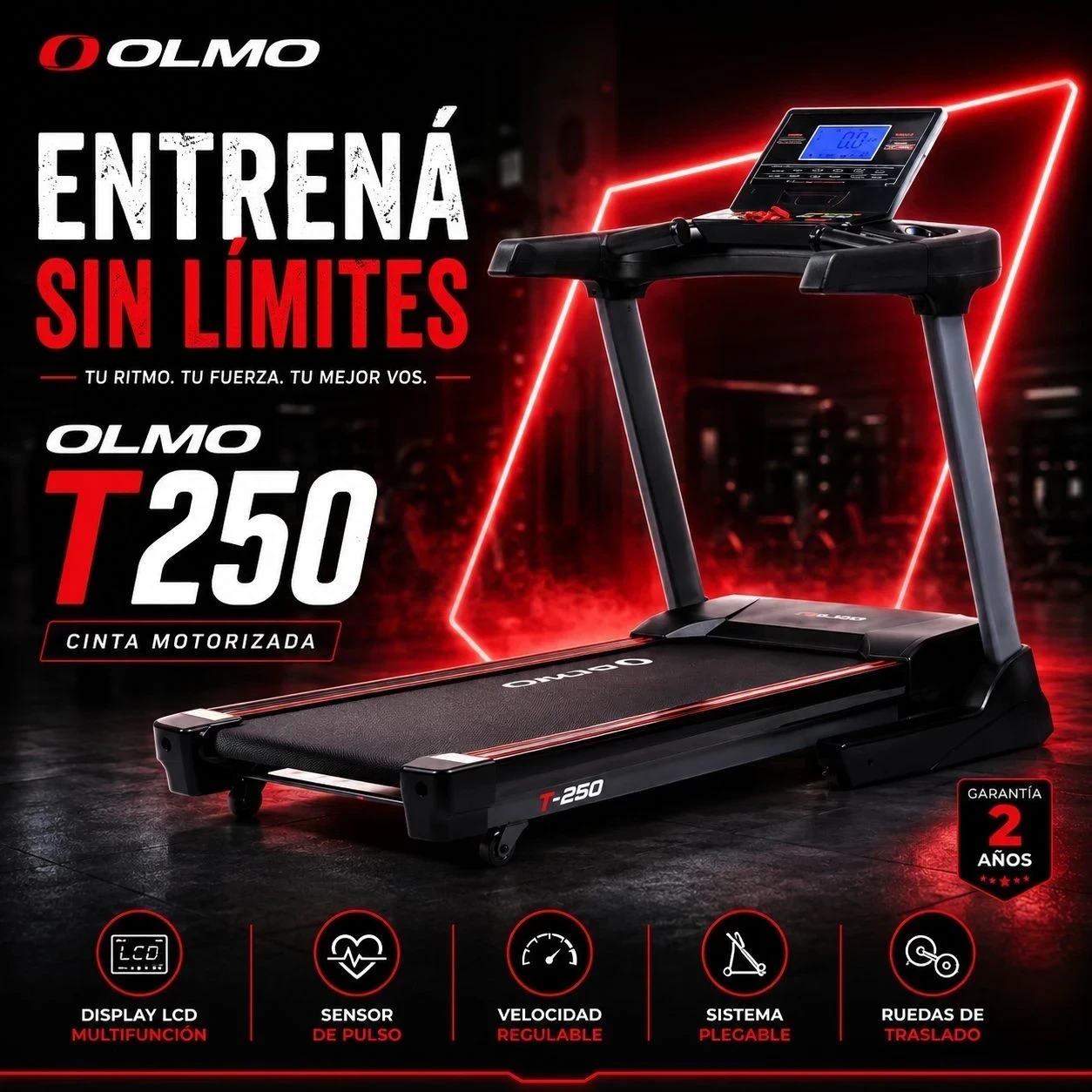 CINTA OLMO T-250
