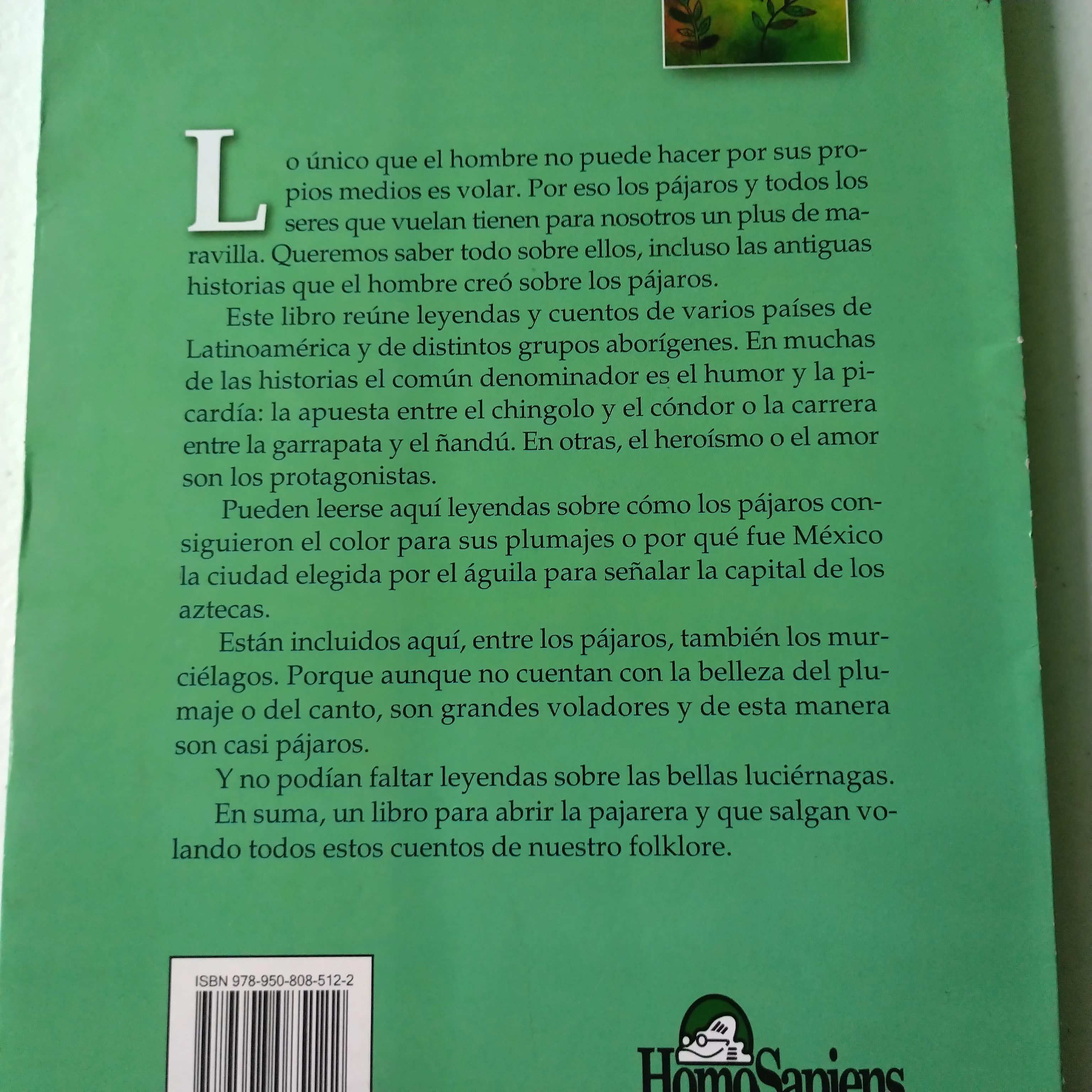 Bichos que vuelan, Patricia Suárez, usado  2