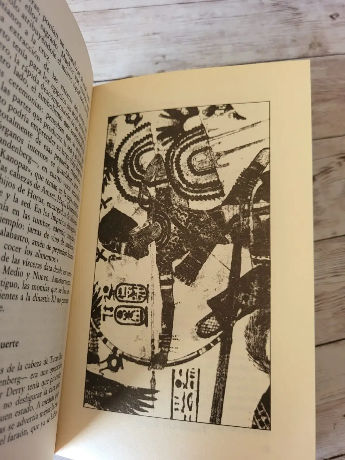 El tesoro de Tutankhamon / Arqueologia / Historia 3