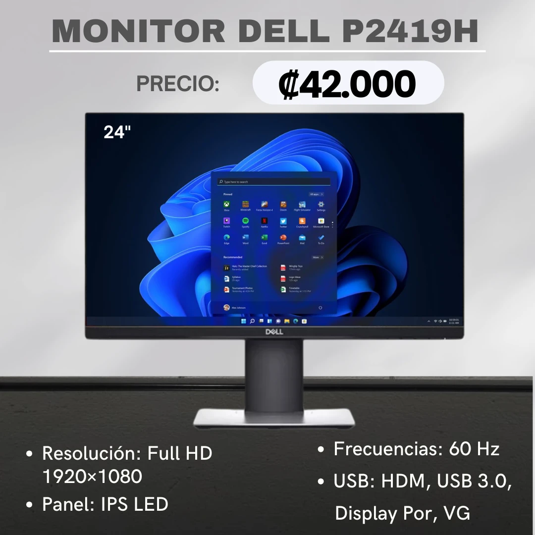 MONITOR DELL P2419H