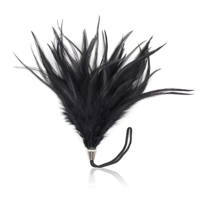Plumas 