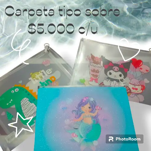 Carpeta tipo sobre