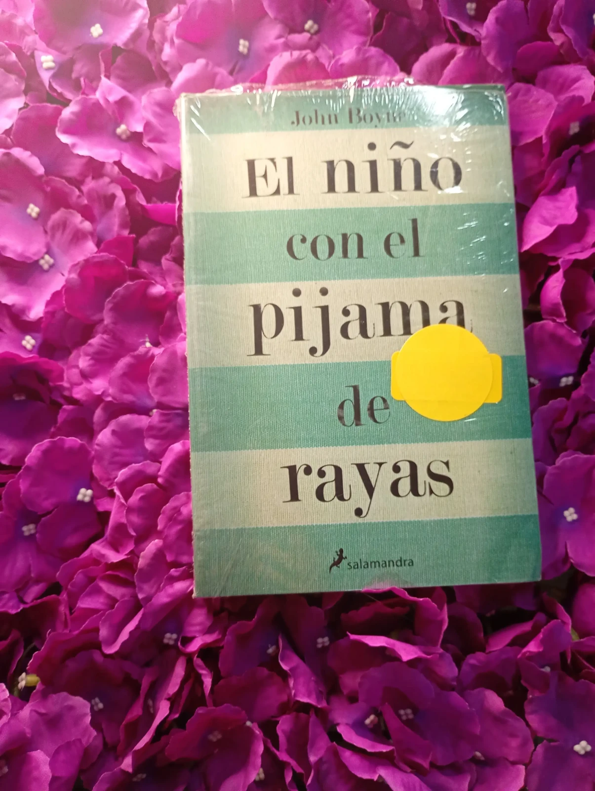 El niño con el pijama de rayas