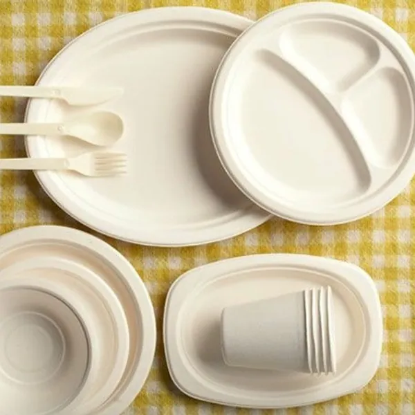 EMPAQUES PLATOS Y VASOS
