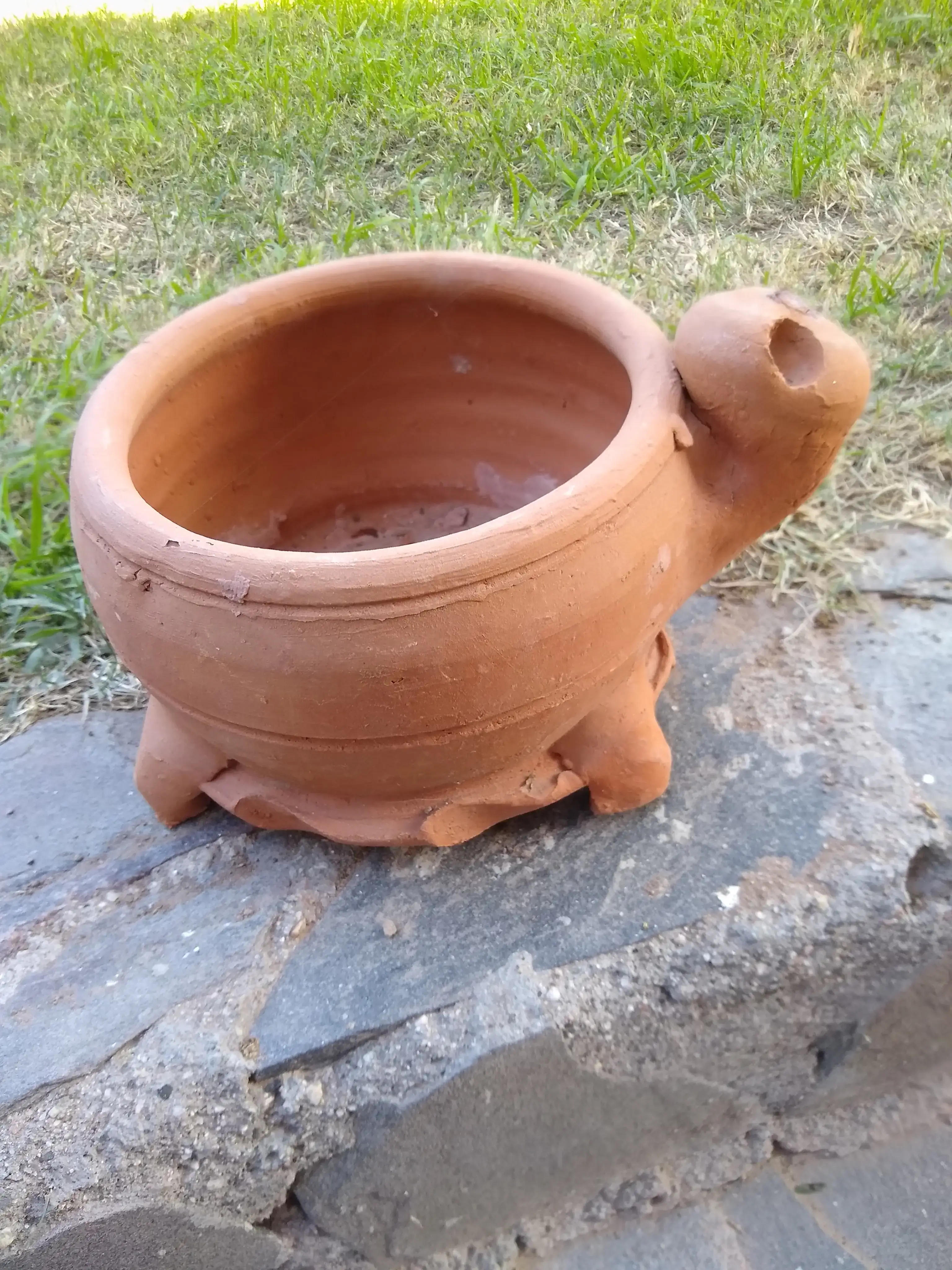 Maceta Terracota Tortuga