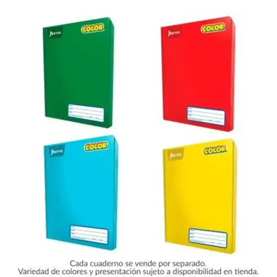 Cuaderno cosido profesional C5  norma 100 hojas