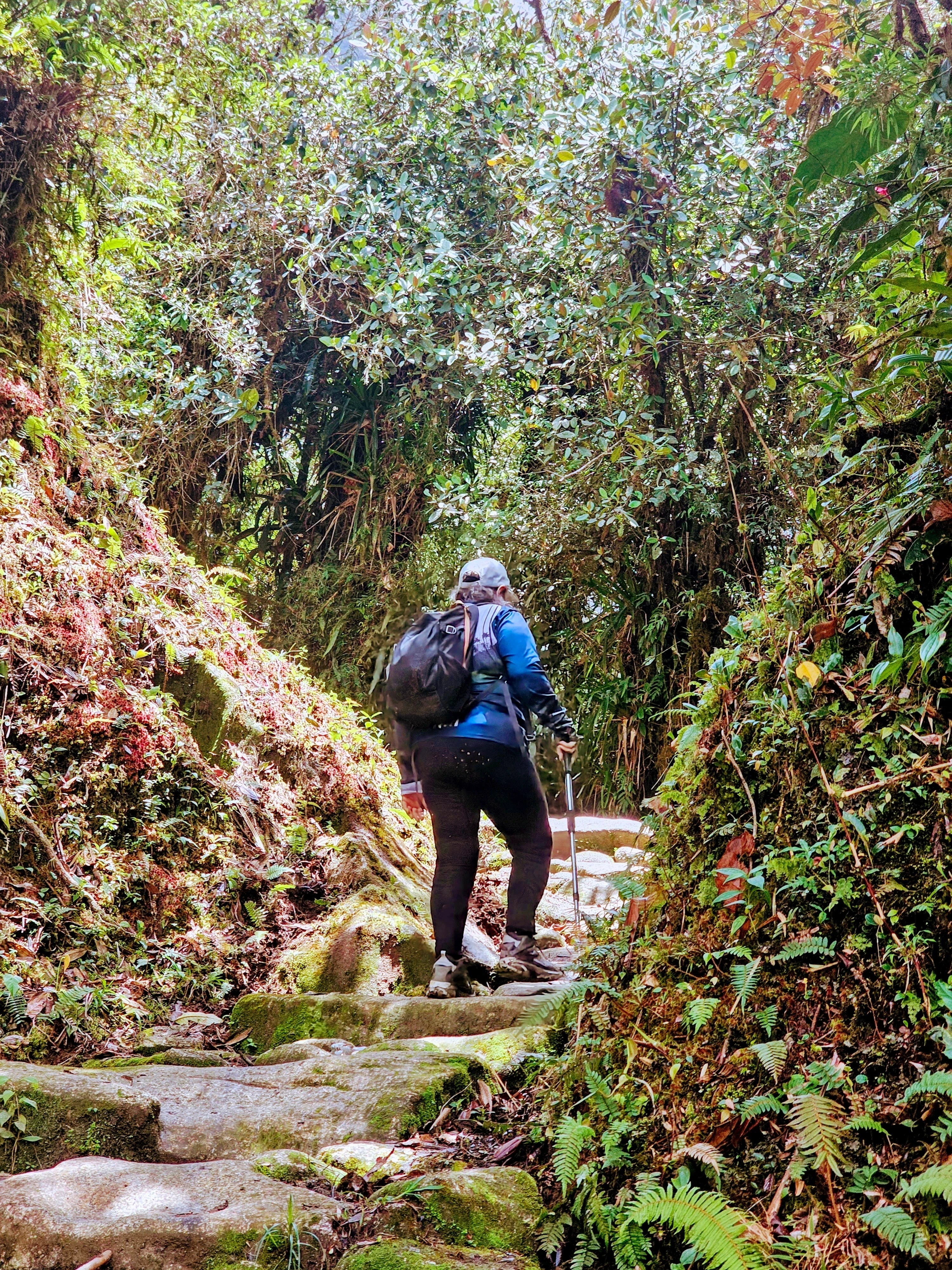 CAMINO DE LA ESPERANZA TRAVESÍA A SONSON ANTIOQUÍA 3