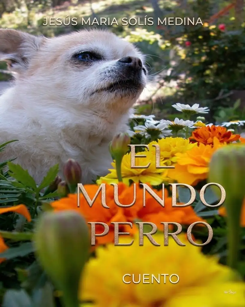El Mundo Perro