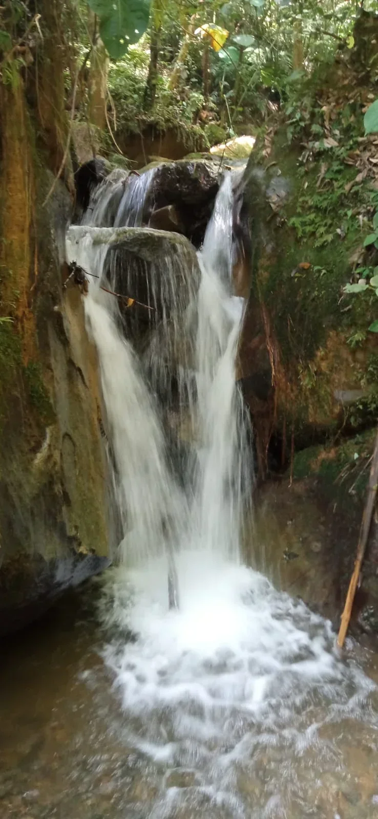 BURITICÁ A CAÑASGORDAS CAMINO ANCESTRAL 5