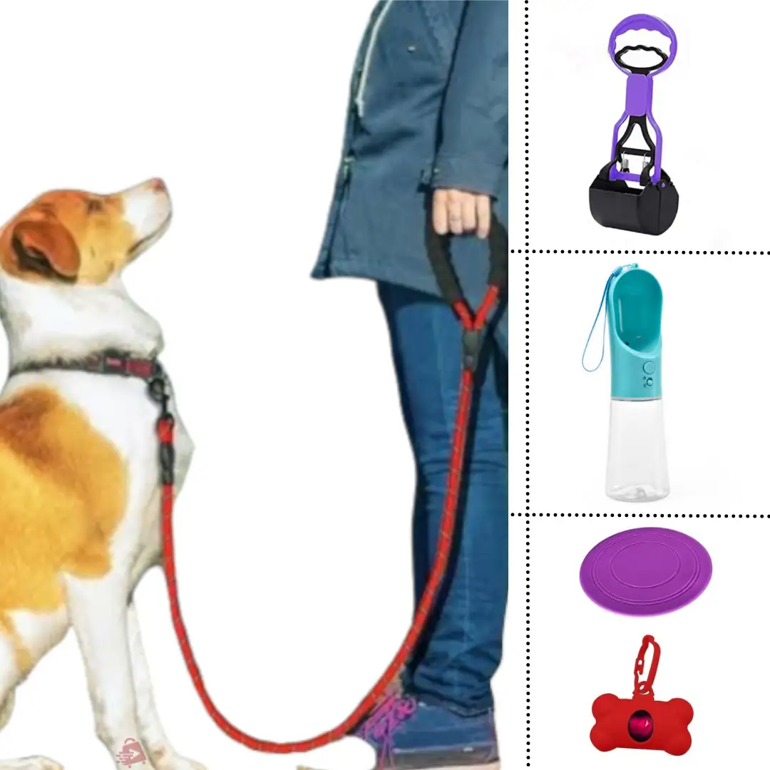 Paquete paseo de perros. Kit 5 en 1, correa y accesorios 