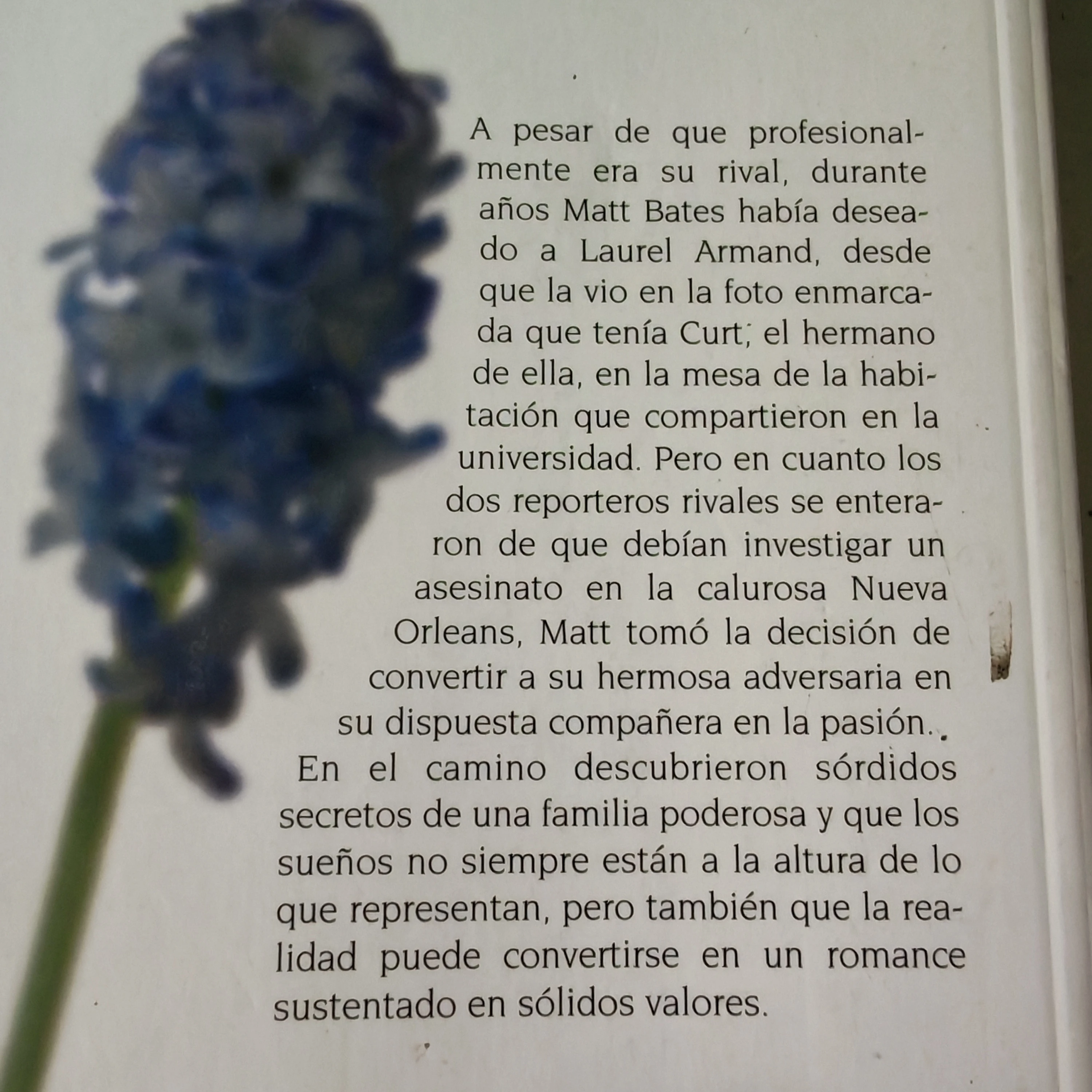 Más que rivales Nora Roberts usado  2