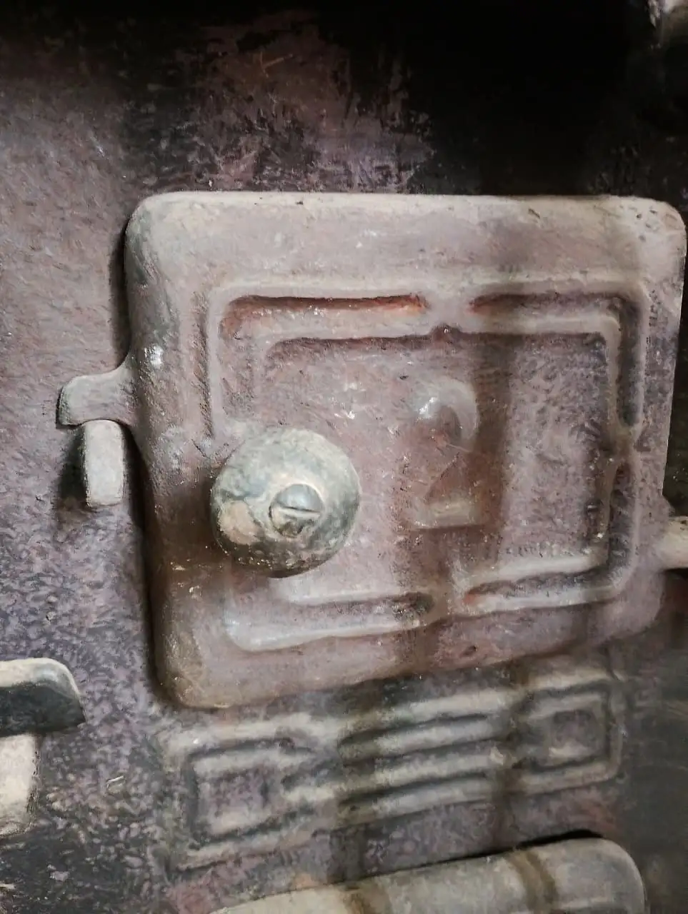 Estufa 3