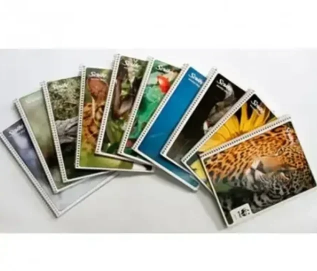 Cuaderno francesa blanco mega 100 hojas espiral 2