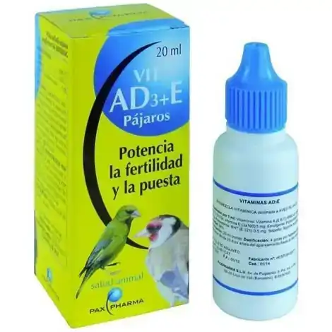 AD+3