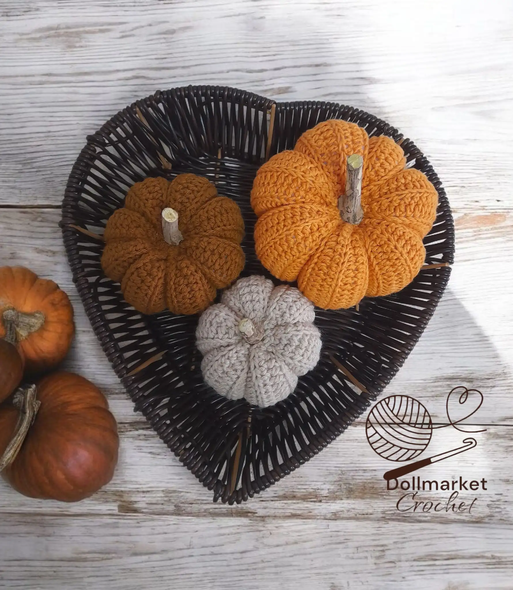 Calabazas / unidad
