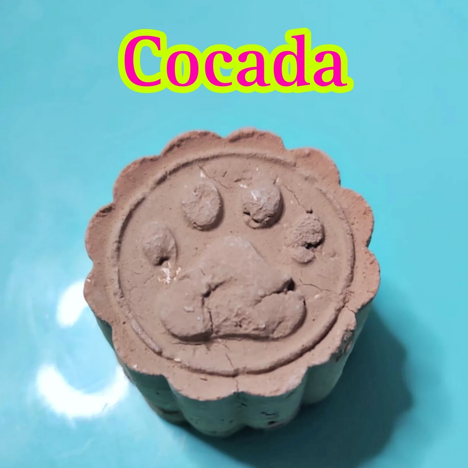 Galleta Cocada