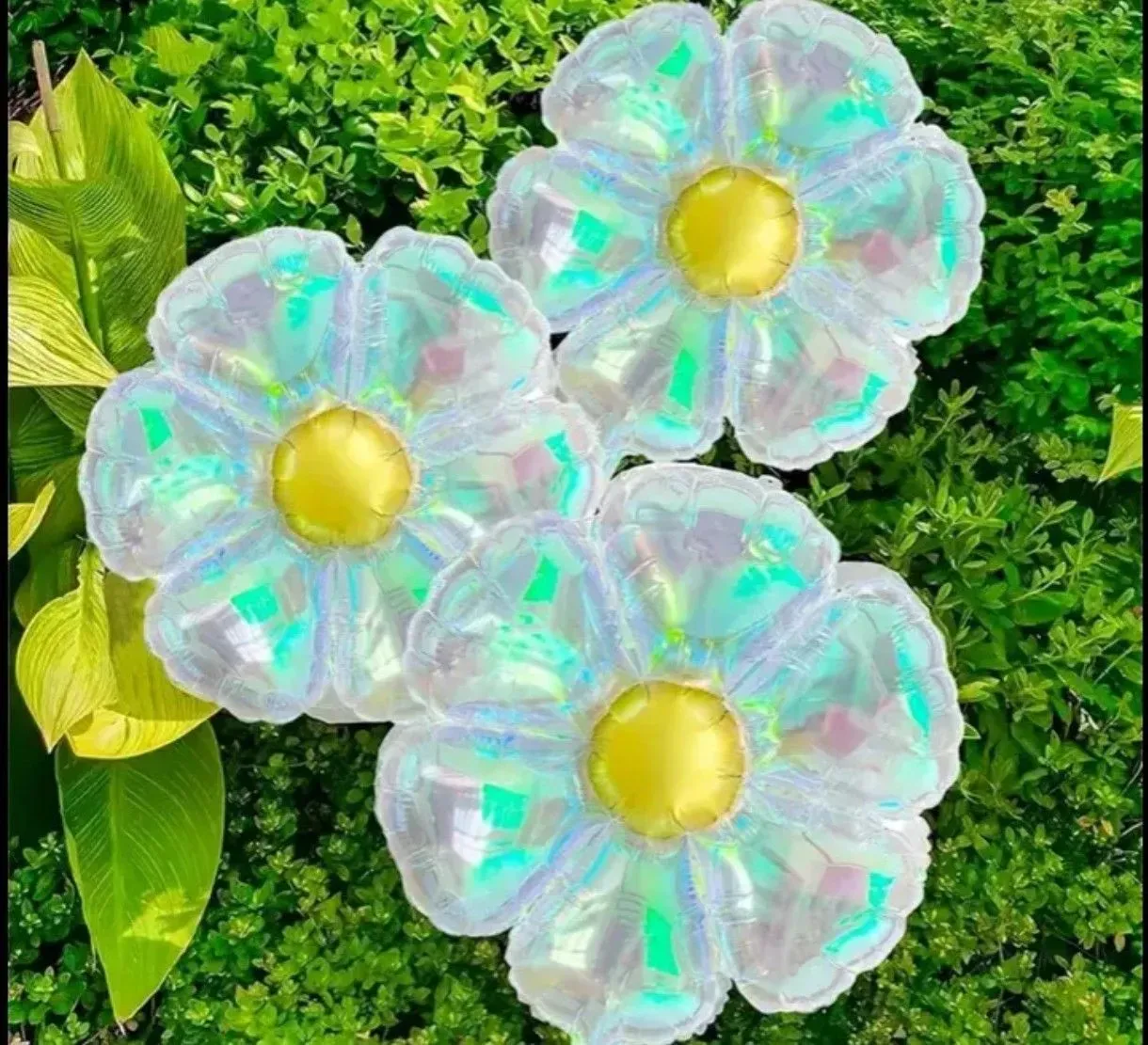 Globo flor margarita tornasolada translucida 48x60 cm 2