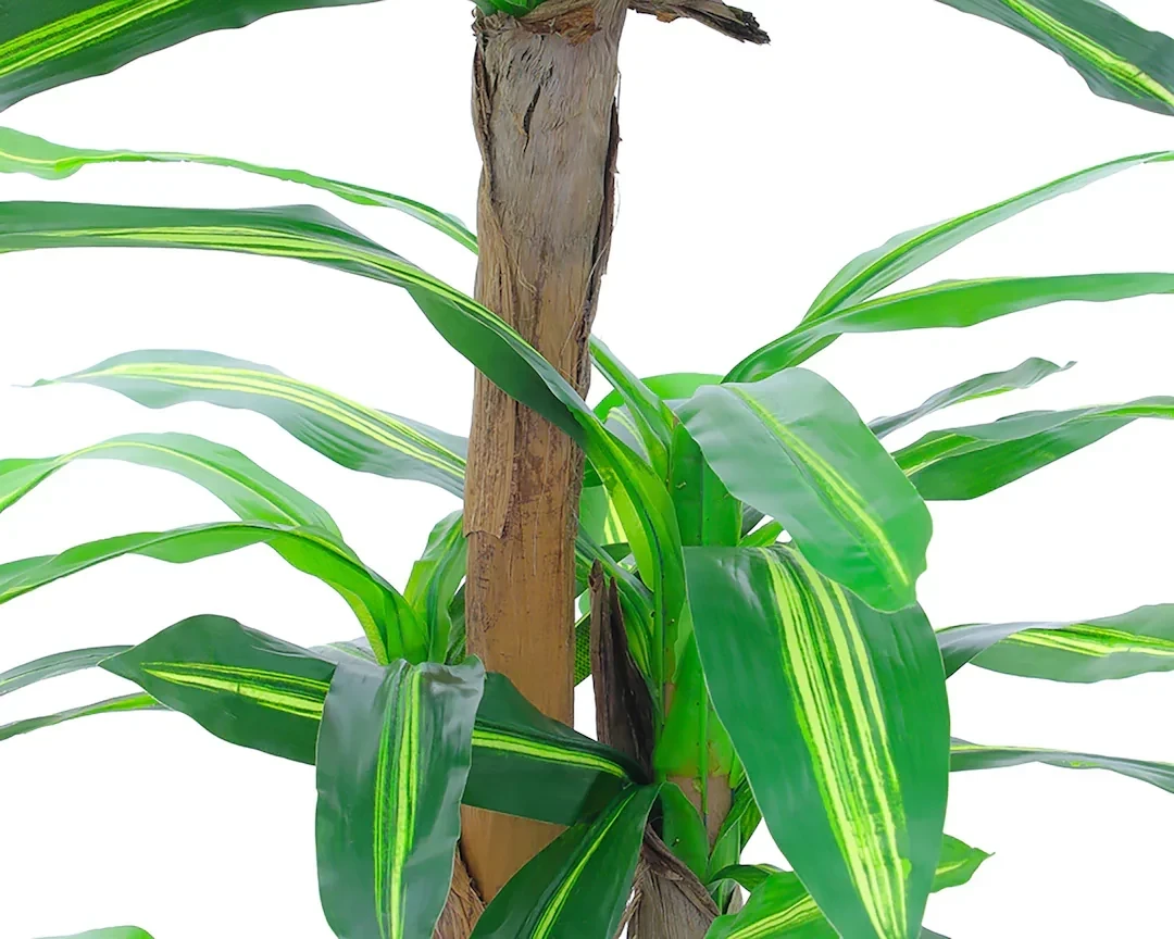 Planta Palo de Brasil 180cm Artificial vista natural  3