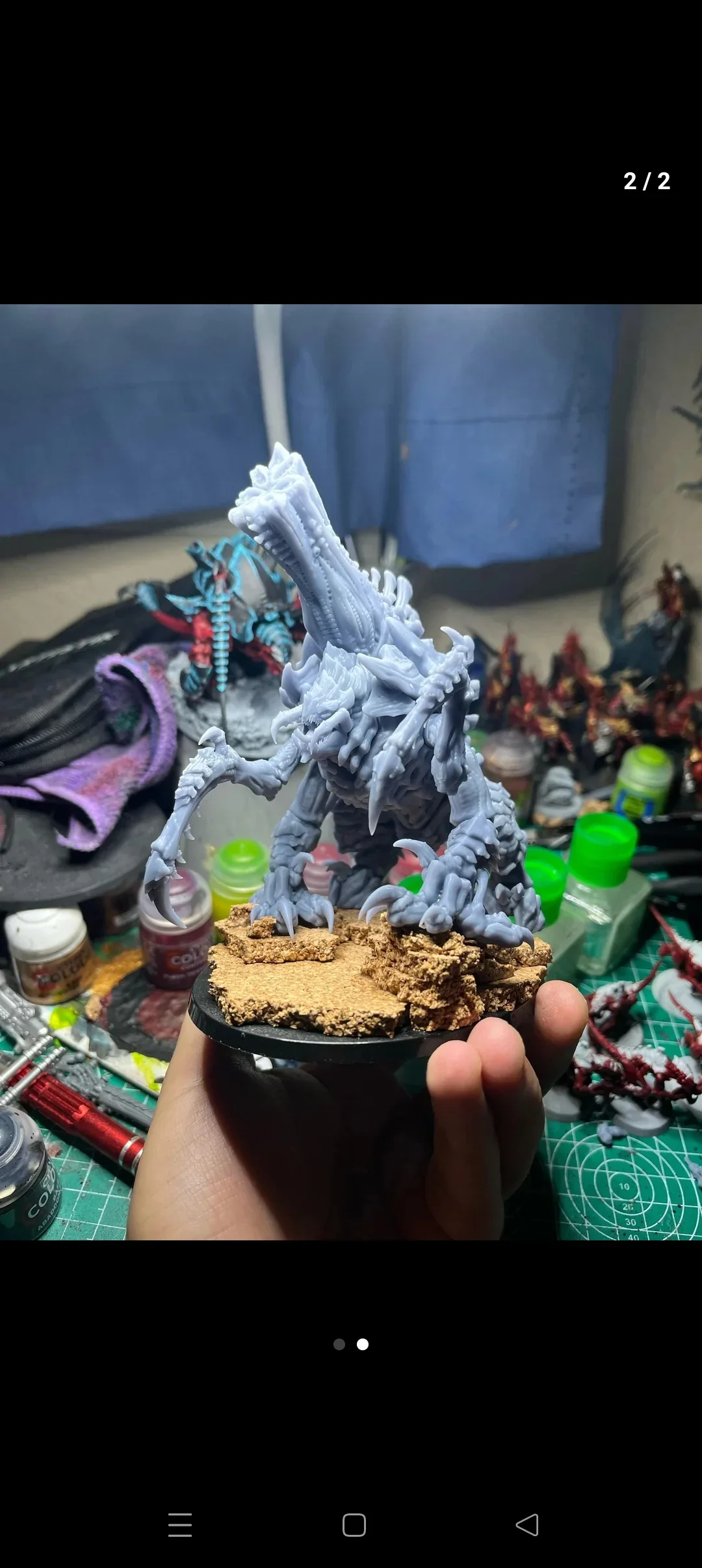 Exocrino Sbo