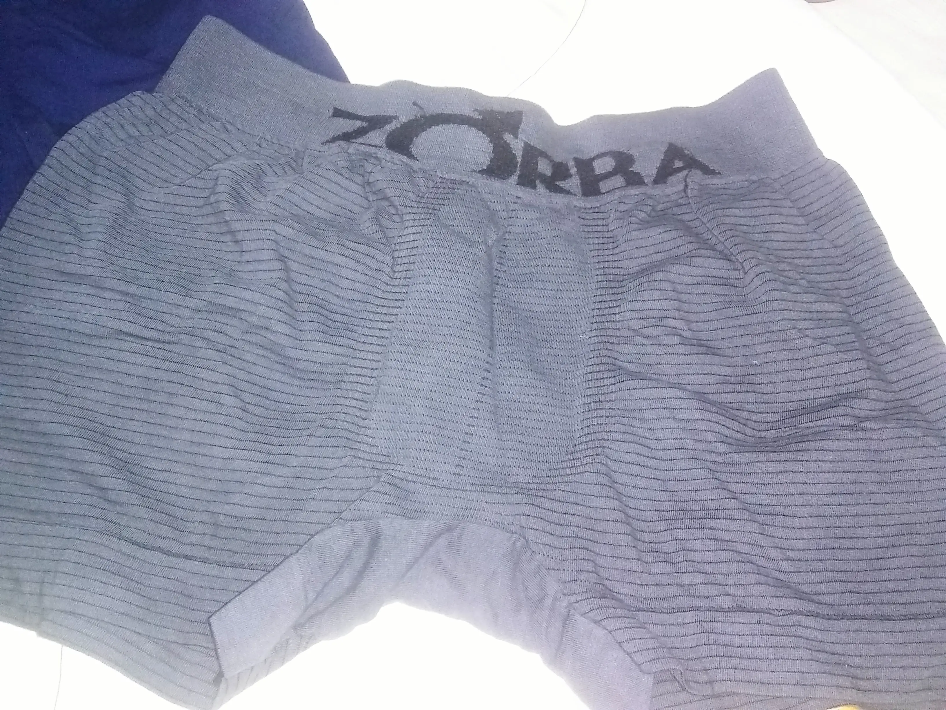 Boxer zorba x12 $5400