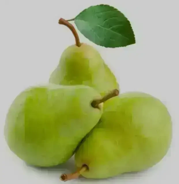 Pera