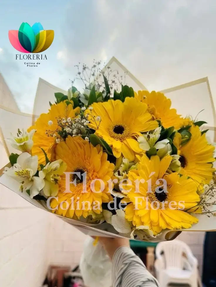 Ramo Gerberas