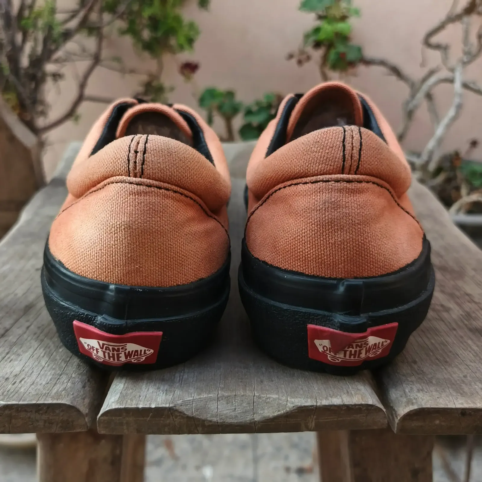 Vans 3