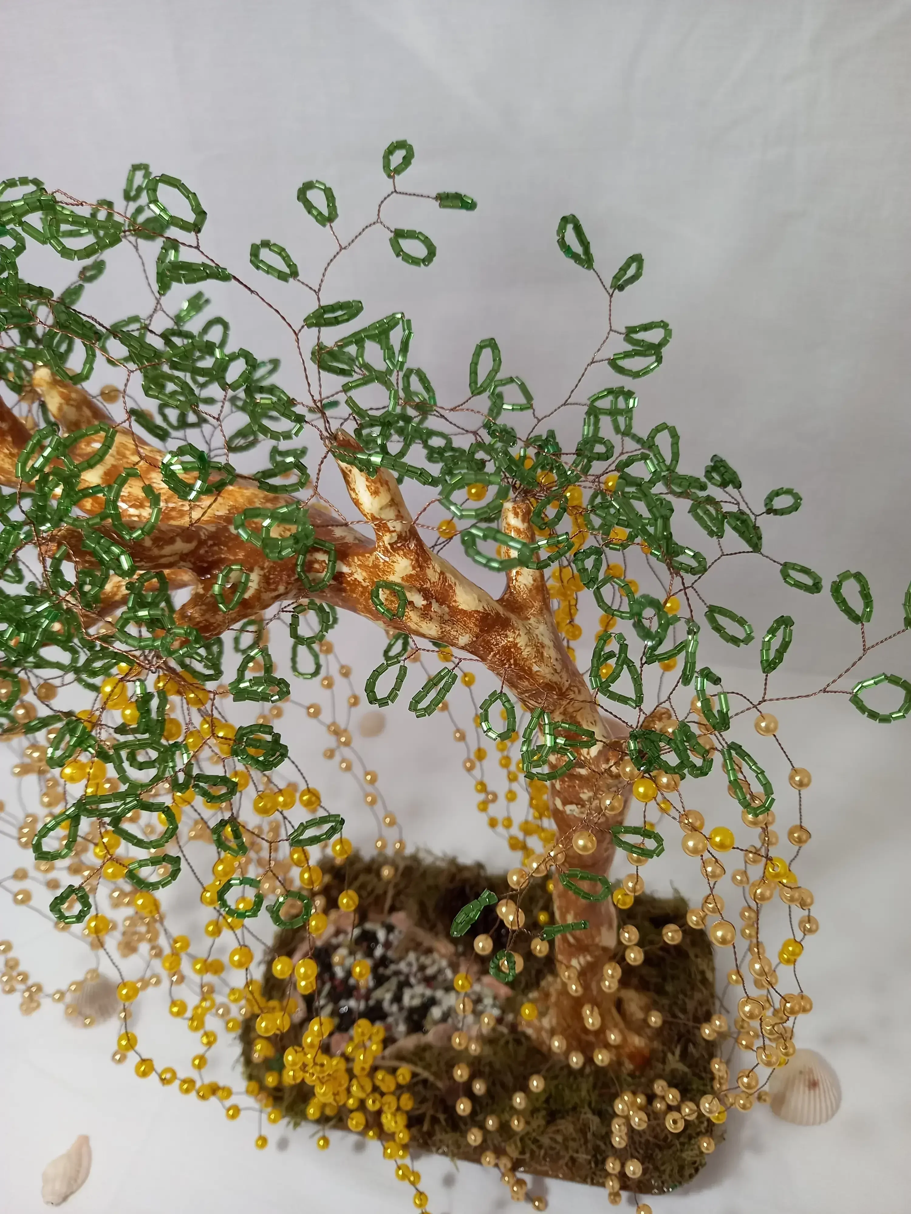 Bonsai Sauce Lloron Ambar 3