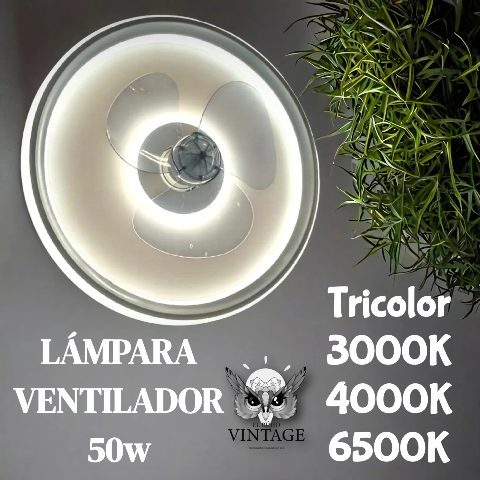Lámpara Ventilador 50w