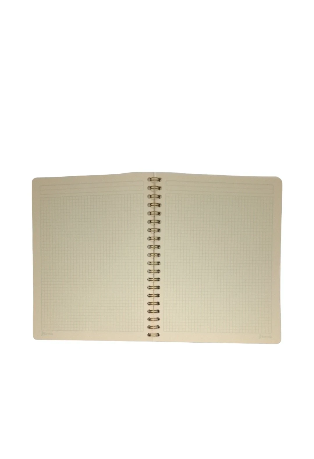 Cuaderno profesional ecoplanet c5 100h 2