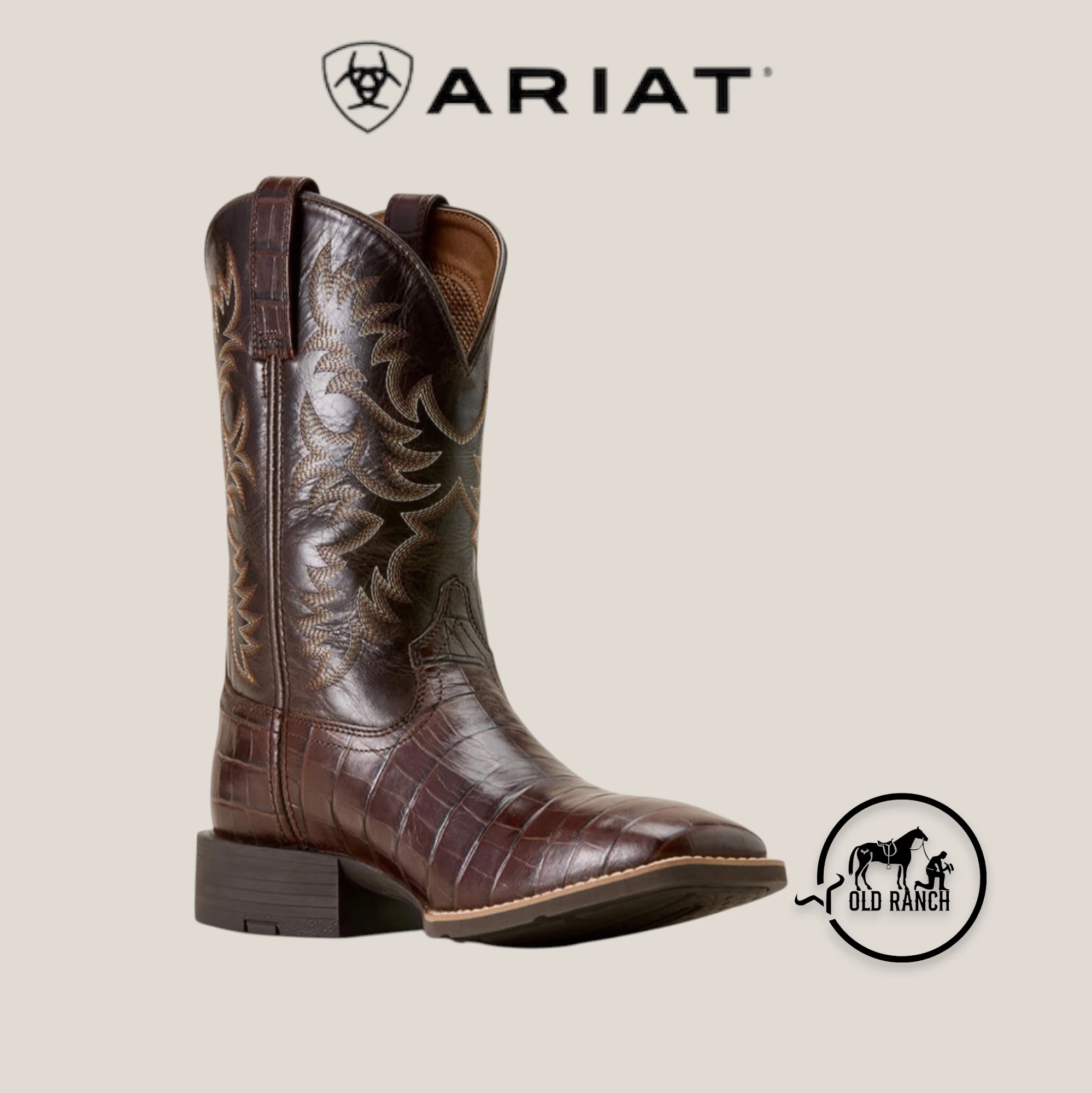 ARIAT 5