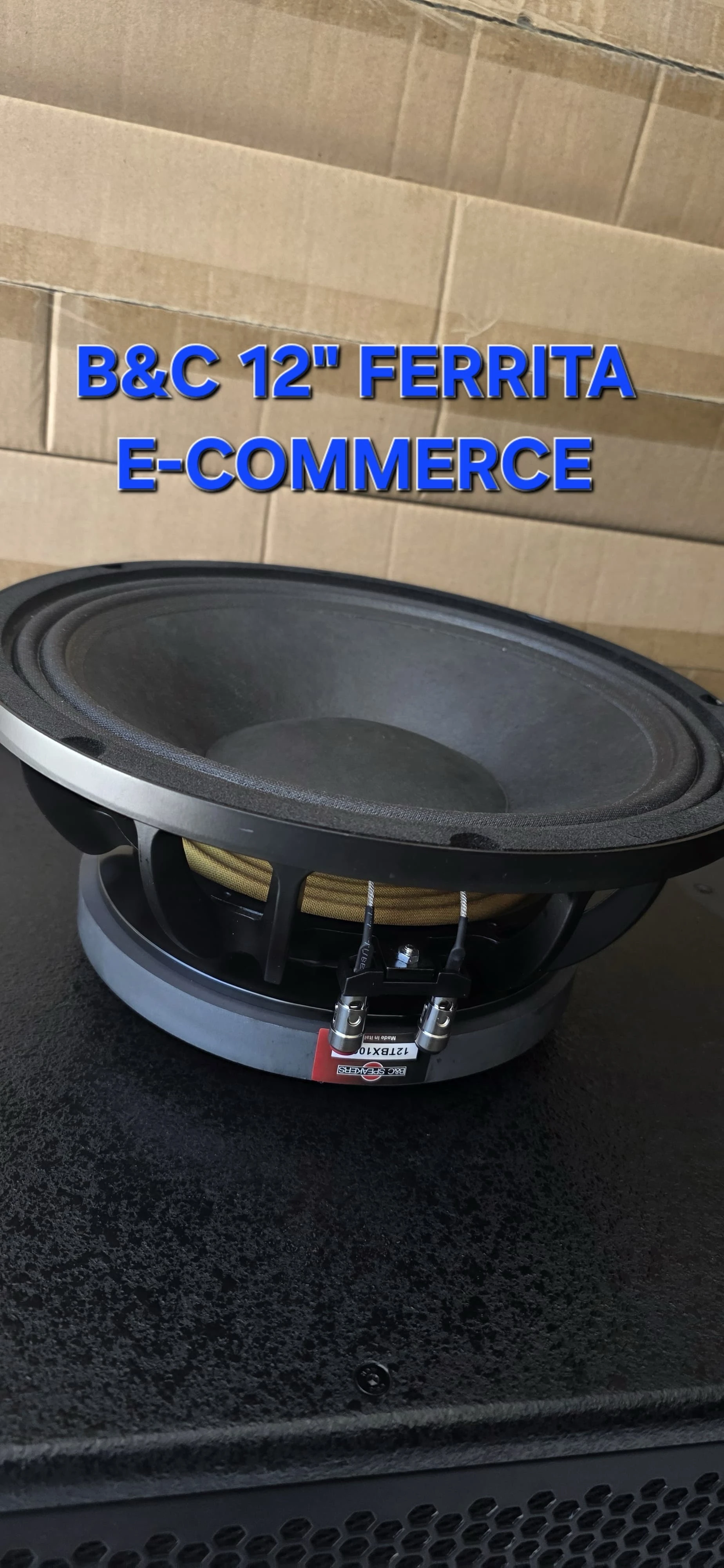 B&C FERRITA 12" PRECIO: 1000BS 2