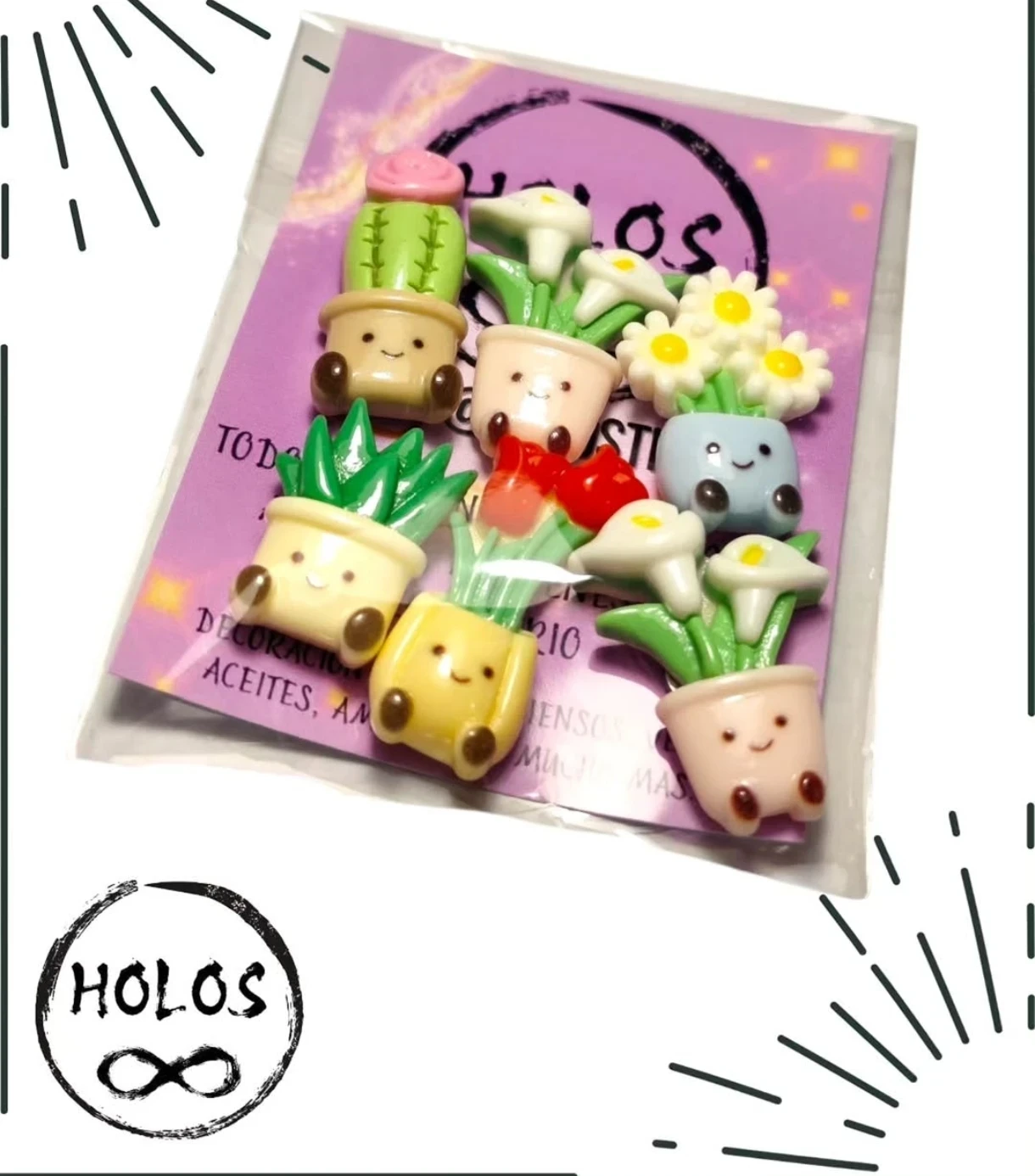 Imanes Cactus