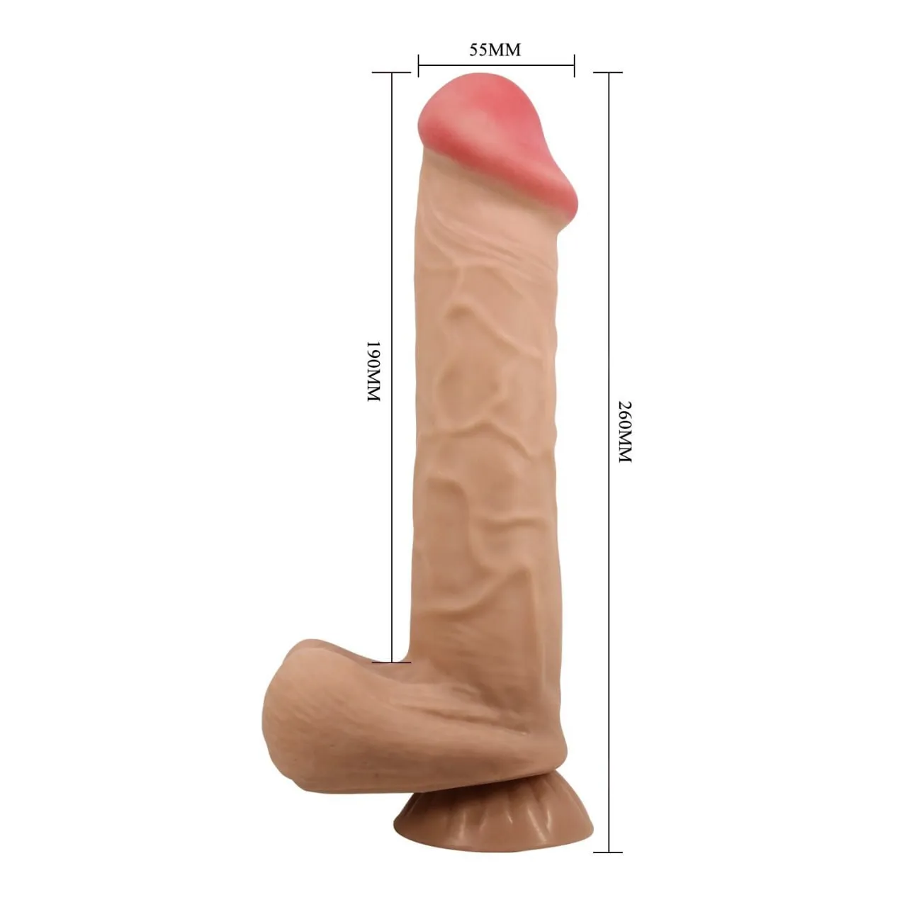 MENDEL 26 Cm  3