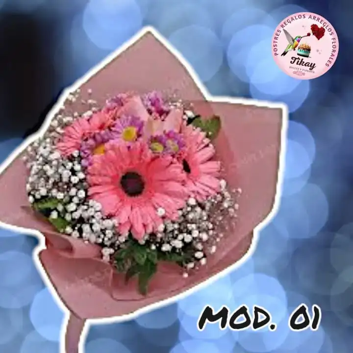 Mod. 01