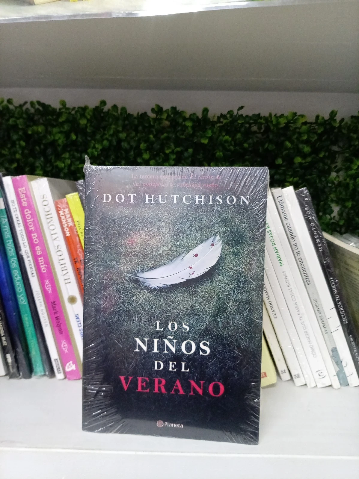 Los niños del verano — Dot Hutchison