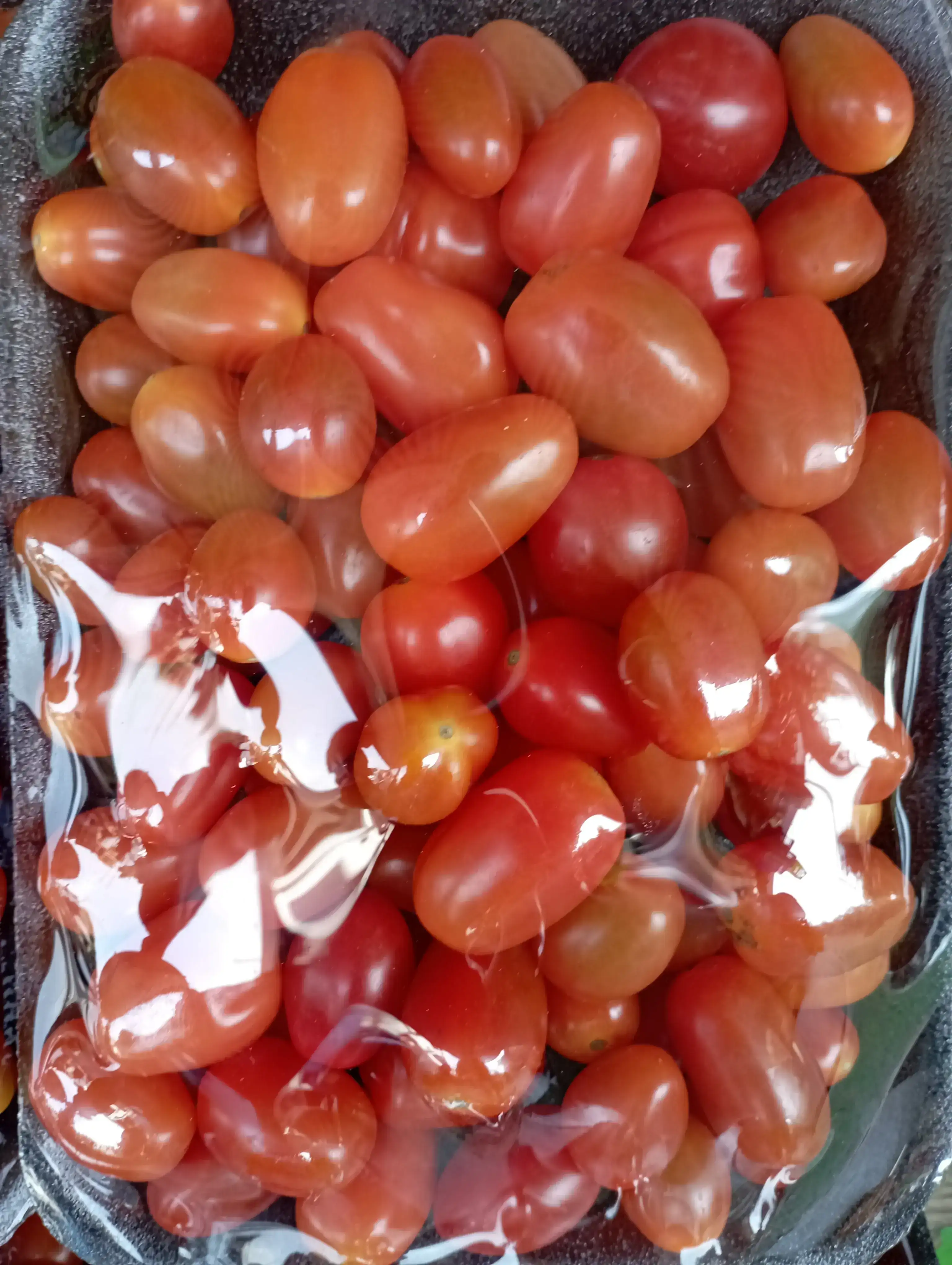 TÓMATE CHERRY/BANDEJA 2