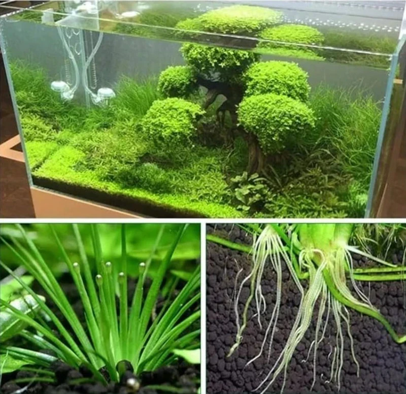 Sustrato Importado para Plantado 8.7kg CAY-9L 3