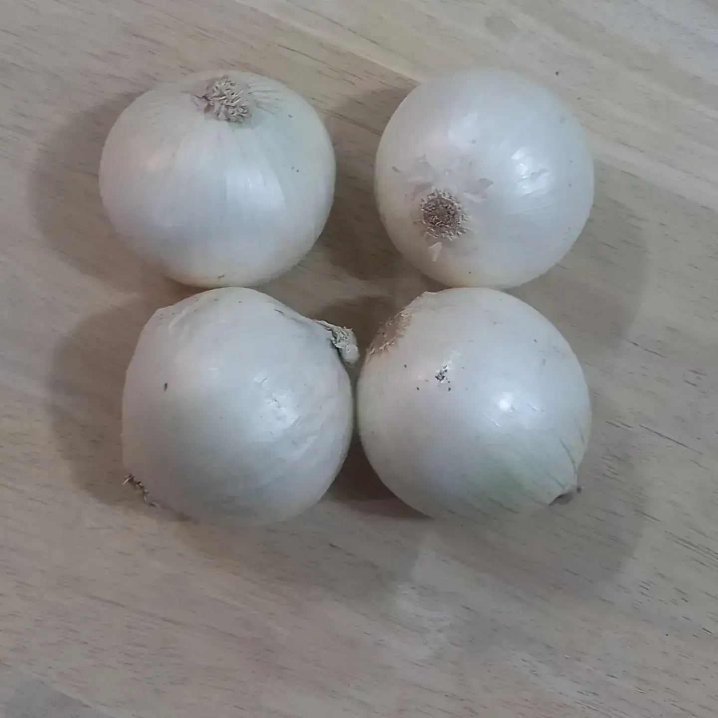 Cebolla