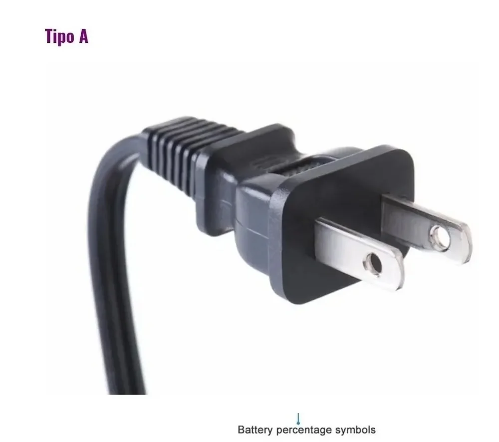 Cargador de Baterias 20A  5