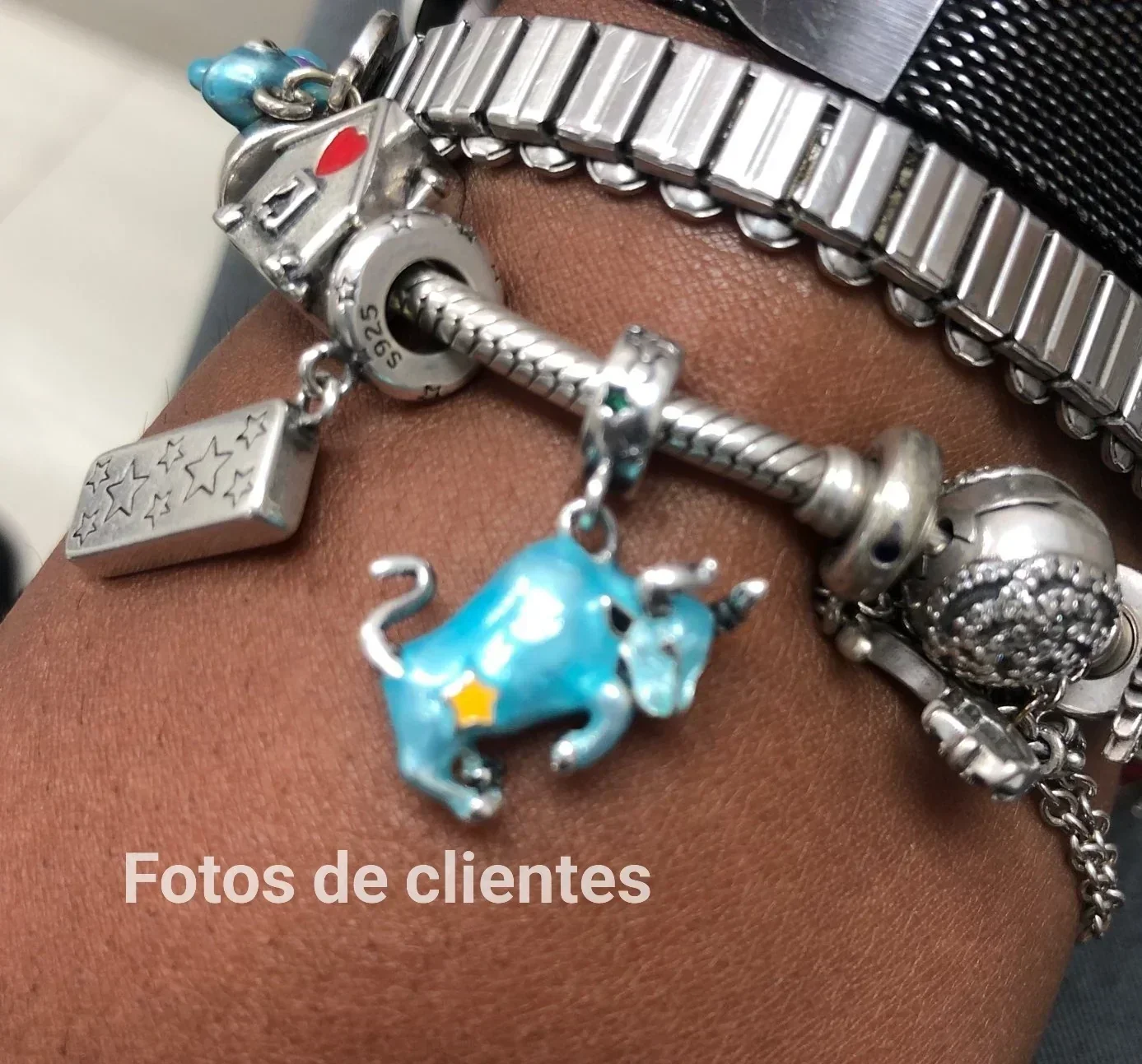 Charm Signo Zodiacal Colgante  10