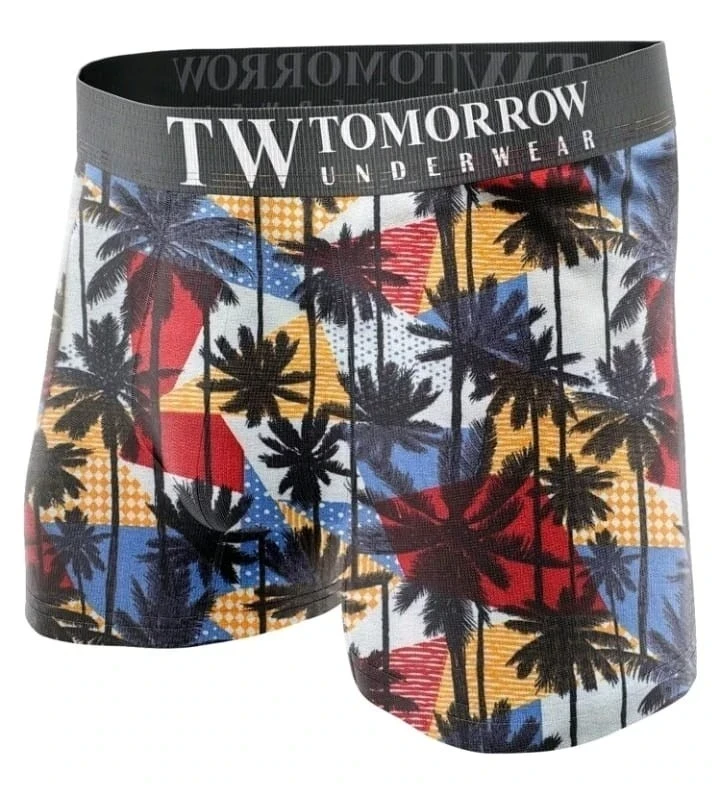 Boxer adulto masculino 2